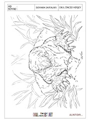 Köstebek boyama sayfaları